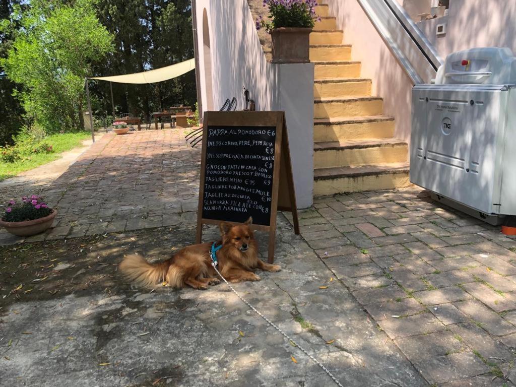 Bed and Breakfast Bb Gli Aristogatti Ghizzano Экстерьер фото