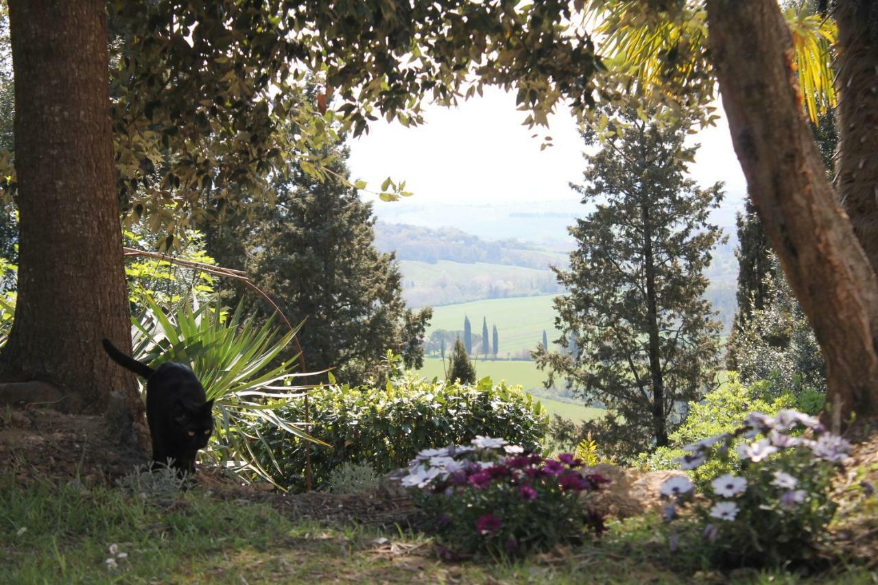 Bed and Breakfast Bb Gli Aristogatti Ghizzano Экстерьер фото